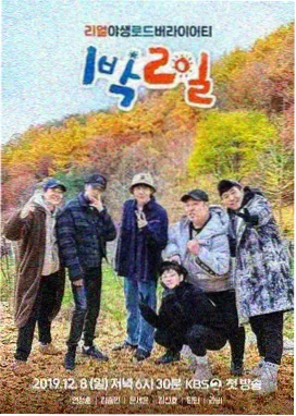 综艺声浪计划在线观看